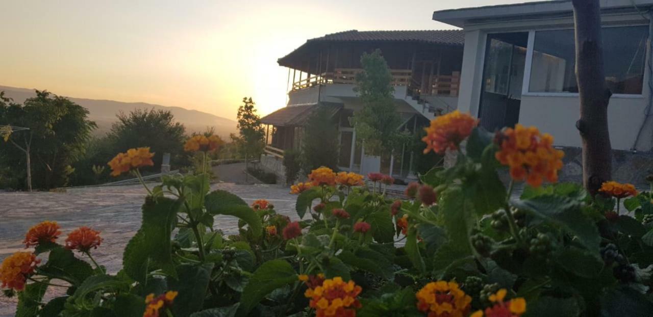 Villa Hylli I Drites à Lezhë Extérieur photo